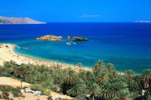 Comfort House Mimosa 2