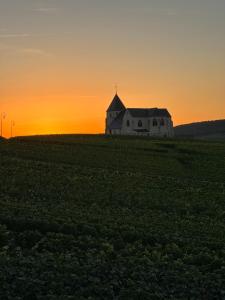 Villas AU COEUR DU TERROIR CHAMPENOIS : photos des chambres