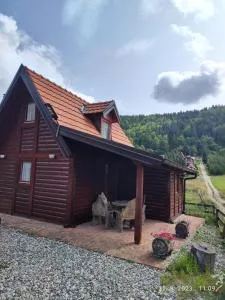 Vila Carobna suma Tara - 米特洛瓦克