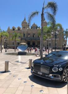 Appartements NEW! 30 seconds to Monte-Carlo : photos des chambres