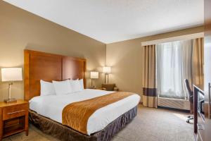 Comfort Inn North-Polaris