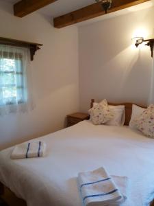 Casa de vacanta Padis