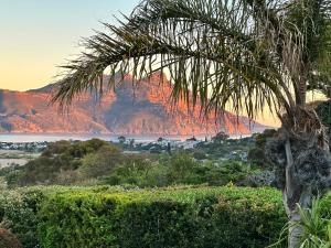 The Palm Hout Bay