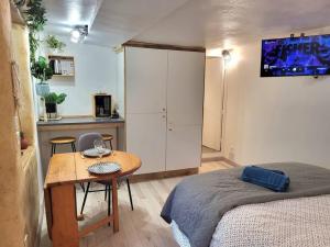 Appartements studio cosy rdc centre Laval vu chateau et jardin : photos des chambres