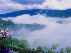 Săn Mây Coffee and Homestay Măng Đen