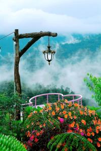 Săn Mây Coffee and Homestay Măng Đen