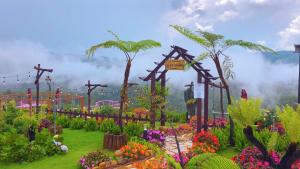 Săn Mây Coffee and Homestay Măng Đen