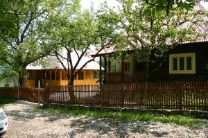 Casa de vacanta Padis - 卡夫尼克