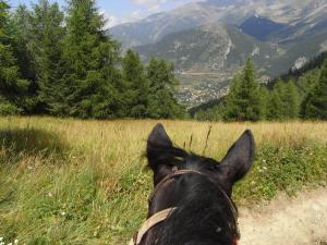 Maisons de vacances Gite Montagne Mercantour : photos des chambres