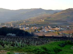 Appartements Au coeur des vignes Chenas du Beaujolais : photos des chambres