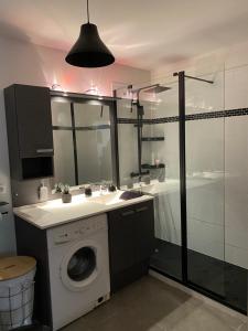 Appartements Agreable Loft aux portes de bordeaux : photos des chambres