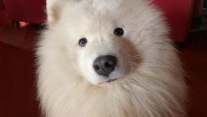 Casa Vacanza LA SCALETTA