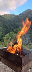 guest house caucasioni