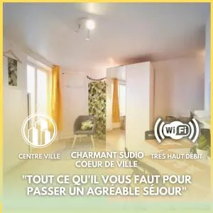 Charming Studio - heart of the city / Downtown - 枫丹白露