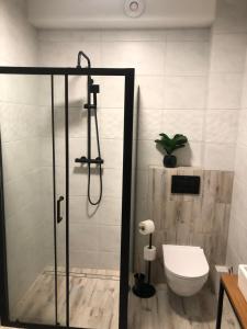 Apartamenty Antonio 2