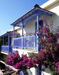 Chiliadromia Studios Alonissos Greece