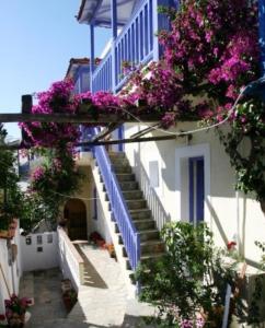 Chiliadromia Studios Alonissos Greece