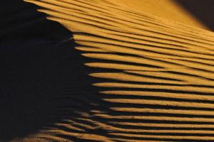 Superior Desert Camp