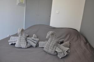 Villas Holiday in Arles -Villa Jacuzzi : photos des chambres