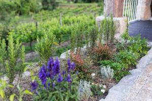 Retiro Acolhedor na Natureza, 35 min Porto