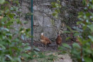 Maisons de vacances Les communs du chateau de Chaussepot : photos des chambres