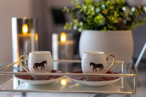 Luxury Central Apartment