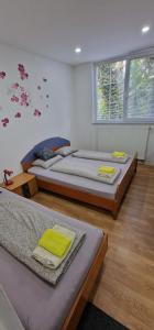 Apartman MURKO P-2