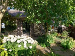 Maisons de vacances Liorzh laboused : photos des chambres