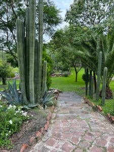 Home in San Miguel de Allende. Casita de La Aldea