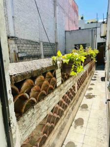 A4 Habitacion en Condesa Amsterdam