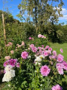 Sejours chez l'habitant Domaine de La Vove : photos des chambres