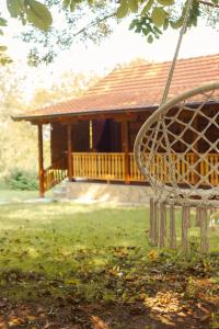 Gruzanski horizonti std1