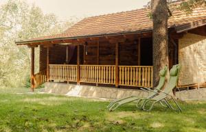 Gruzanski horizonti std1