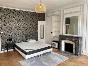 Maisons de vacances Logement centre ville 1 a 5 chambres : photos des chambres