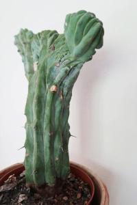 Schöne Wohnung, zentral, mit Panorama-Aussicht