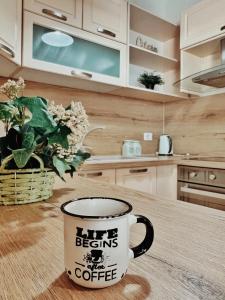 Cozy Rooftop Apartment - Your home, away from home!