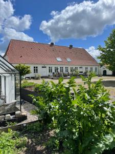 Landligt ophold på Midtgård