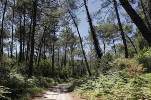 Maisons de vacances Chez Floflo : photos des chambres