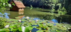 B&B / Chambres d'hotes Les etangs du moulin d'Harcy : photos des chambres