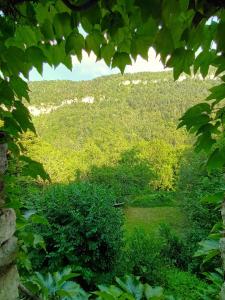 Appartements Deux pieces de caractere au coeur des gorges : photos des chambres