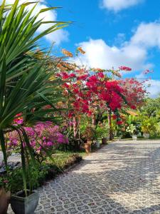 Fazendinha Parque Raposa