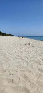 Charmant T3 en rez de jardin dune villa