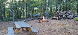 Private place for rest in the forest Tent 1 Forrest Cump
