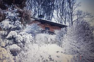 Chalets Superbe chalet familiale avec vue magnifique sur le Mont Blanc : photos des chambres