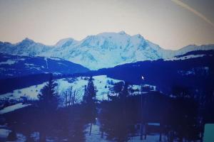 Chalets Superbe chalet familiale avec vue magnifique sur le Mont Blanc : photos des chambres