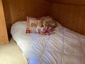 Chalet aux Gets avec Wi-Fi, cheminée, parking privatif, barbecue, proche pistes - FR-1-671-7