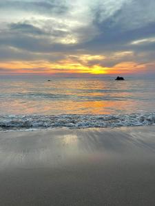 Jungle Hill Beach Bungalow