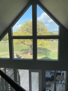 Hamilton Pool Vineyards & Farms - Ubytování bez kategorie ve městě Hammetts Crossing