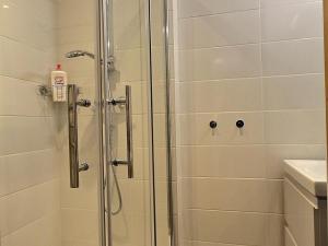 Beau duplex calme, animaux admis, au pied des pistes - FR-1-455-232