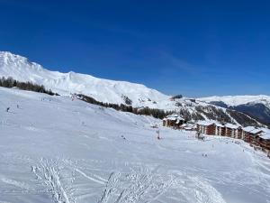 Duplex calme au pied des pistes, balcon et animaux acceptés - FR-1-455-232